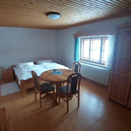 Apartment Erzhof Nassau- Gaestezimmer An Der Loipe Rechenberg-Bienenmuhle