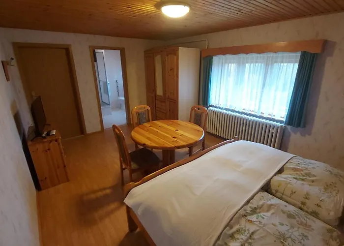 Erzhof Nassau- Gaestezimmer An Der Loipe Апартаменты Rechenberg-Bienenmuhle